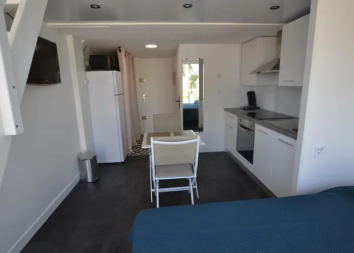 Naturiste Albatros Port Soleil 544 アパート アグド